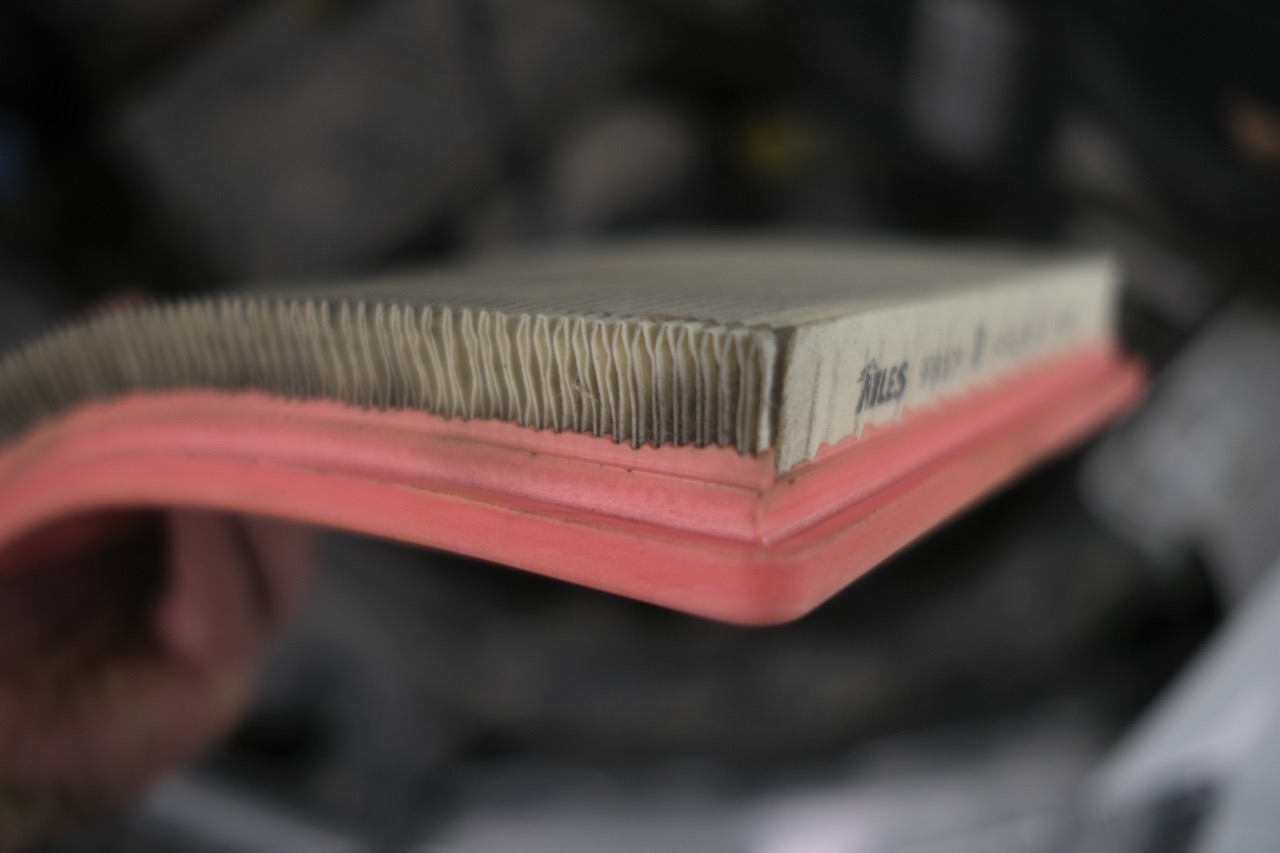 С 8 Марта, дорогие женщины! 🌷 С 8 Марта, дорогие женщины! 🌷