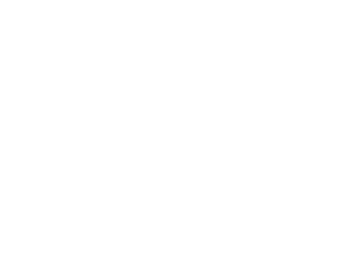 Wide Media