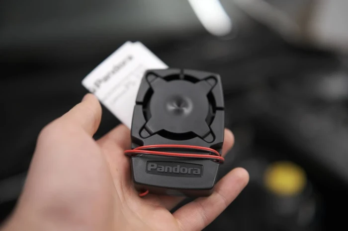 Pandora DX-9X Lora