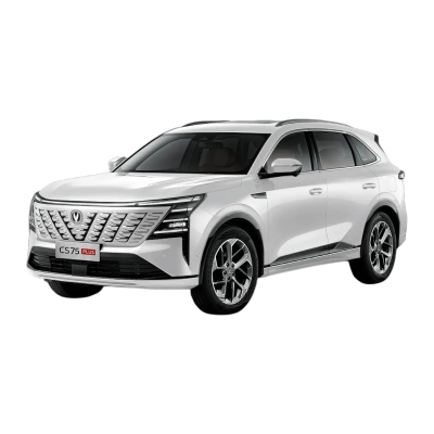 Установка автосигнализации с автозапуском на Changan CS75 Plus в Самаре