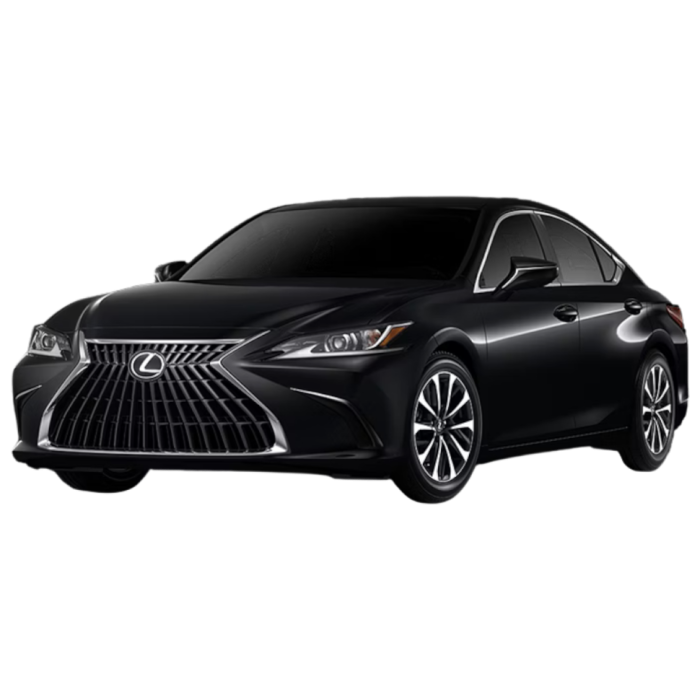 Установка парктроников на Lexus ES в Самаре