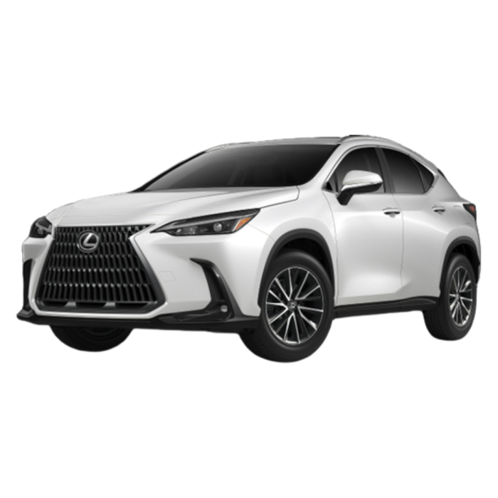 Установка парктроников на Lexus NX в Самаре