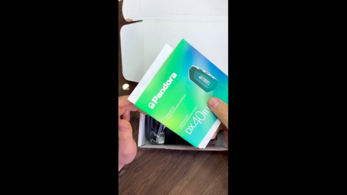 Pandora DX 40RS (2022 Edition)