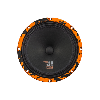 DL Audio Gryphon Pro 200 Neo
